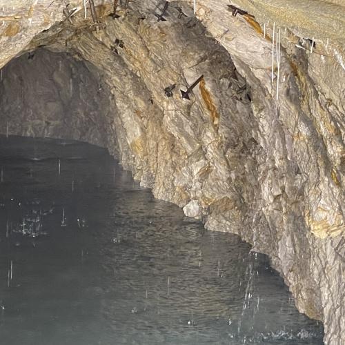 WasserstollenHalltal